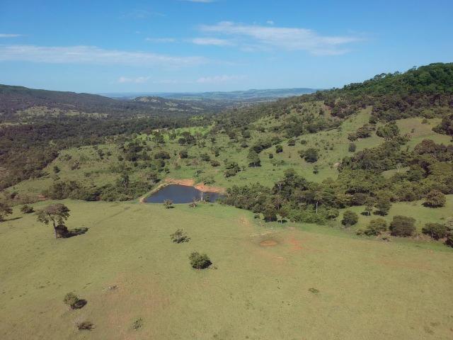 Fazenda 25 Alqueires ( 121 hectares )-Varjão-GO porteira fechada - Foto 8
