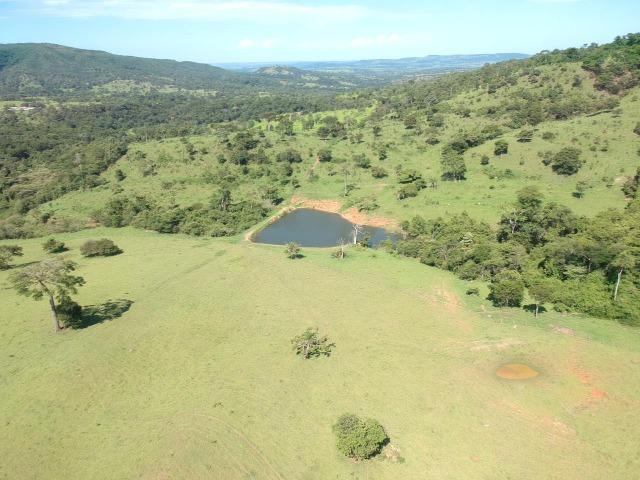 Fazenda 25 Alqueires ( 121 hectares )-Varjão-GO porteira fechada - Foto 3