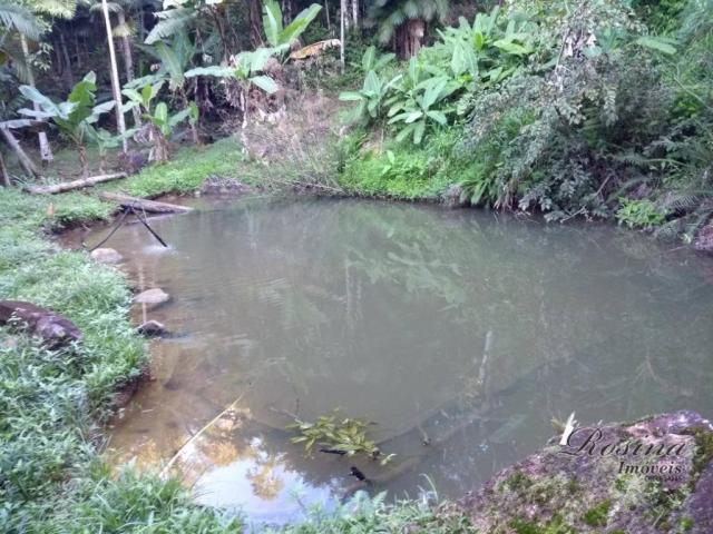 Chácara no sambaqui - Foto 19