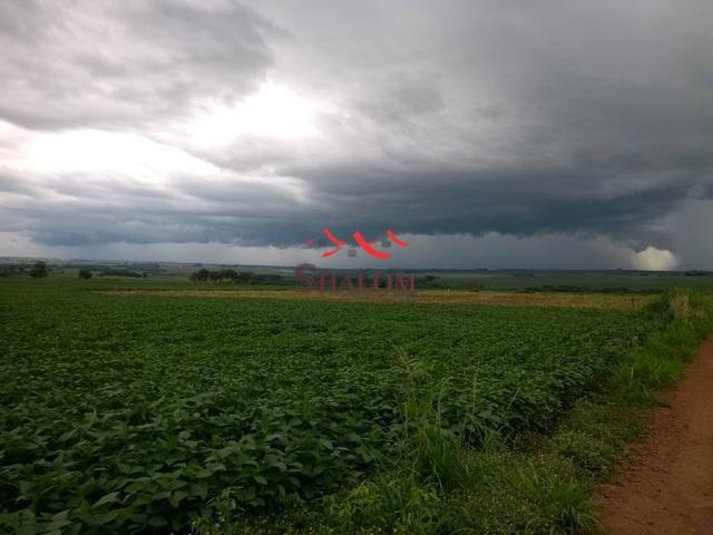 8051 | Sítio à venda em NÃO INFORMADO, ÂNGULO - Foto 4