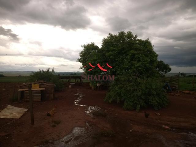 8051 | Sítio à venda em NÃO INFORMADO, ÂNGULO - Foto 5