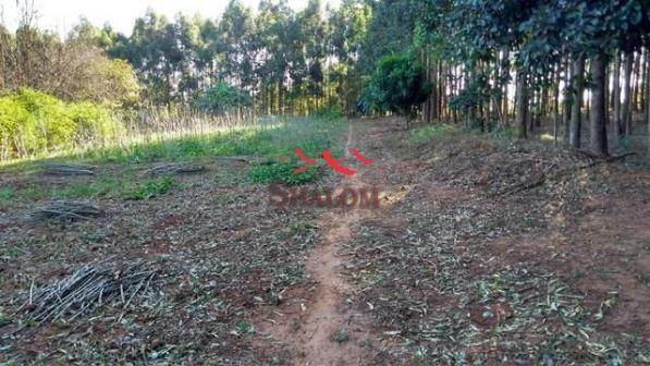 8051 | Sítio à venda em NÃO INFORMADO, IGUARAÇU - Foto 8