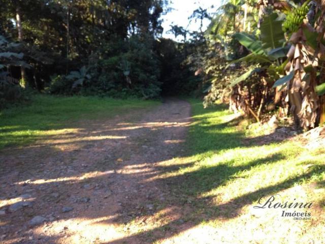 Chácara no sambaqui - Foto 2