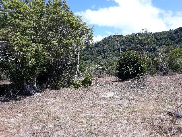 Lote rodovia - ilheus-itacare a 900 metros da praia - Foto 8