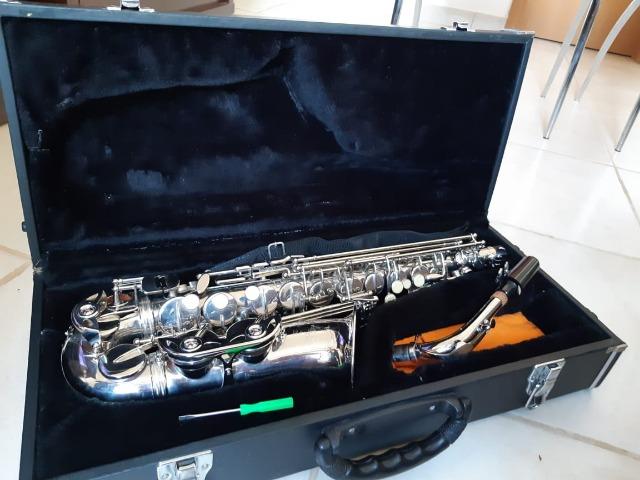 Sax Parrot - Foto 4