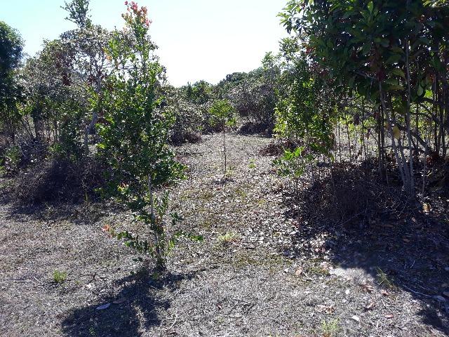 Lote rodovia - ilheus-itacare a 900 metros da praia - Foto 9