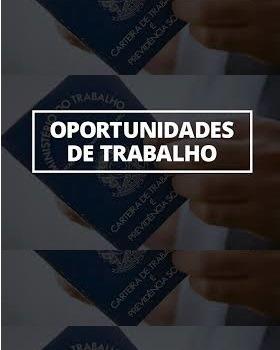 Vendedora - Centro Curitiba