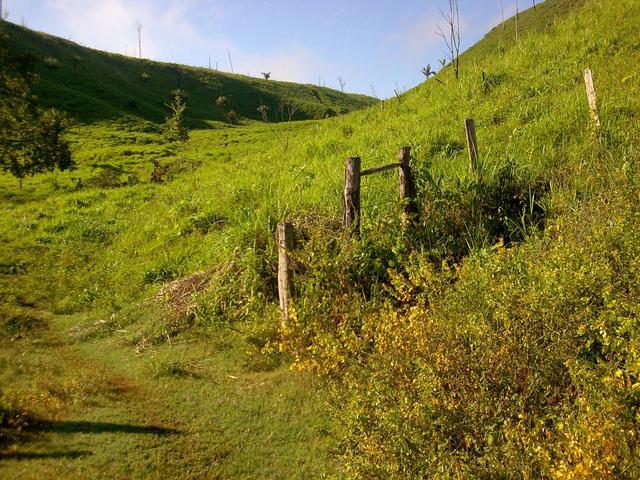 Imperdível vendo excelente Fazenda em Bom Jardim-Ma - Foto 2