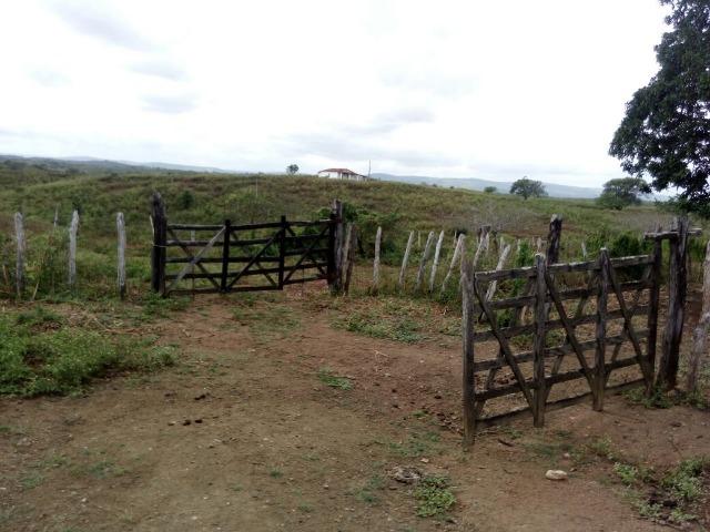 Propriedade de 786 hectares, entre Passira e Cumaru-PE - Foto 20