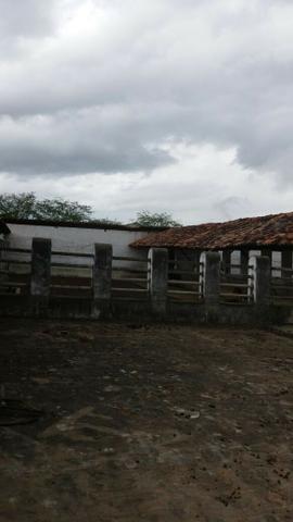 Propriedade de 786 hectares, entre Passira e Cumaru-PE - Foto 12