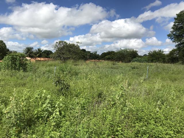 Sítio em Brejo Santo- CE - Foto 8