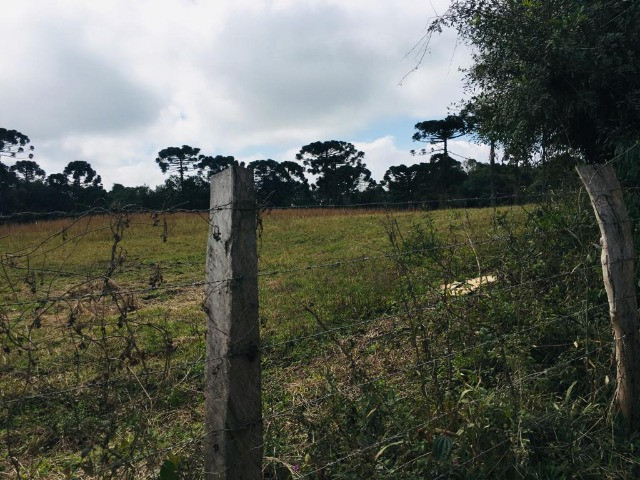 Área Rural em São José dos Pinhais - Foto 10