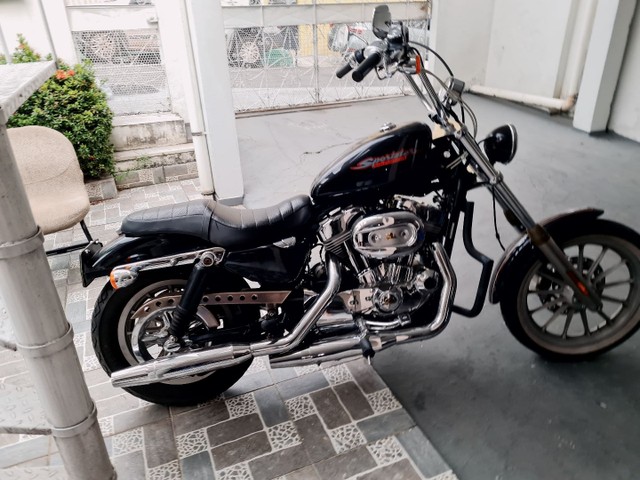 HARLEY DAVIDSON SPORTSTER 883 XL 50 ANOS