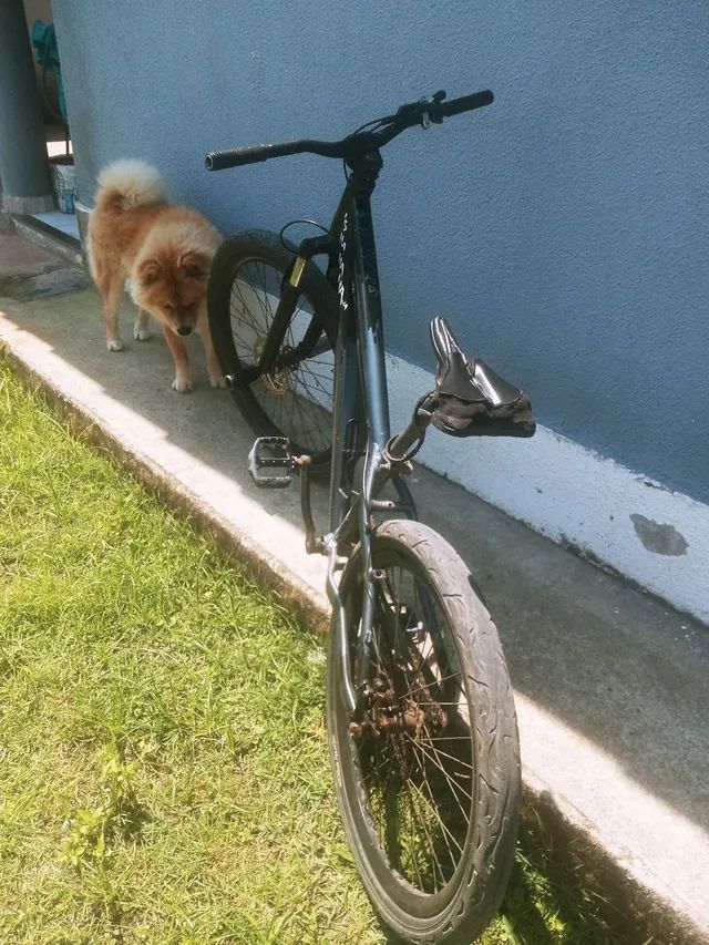 Bicicleta Gios Frx-hi Freio a disco Grau, Wheeling, RL, Downhill
