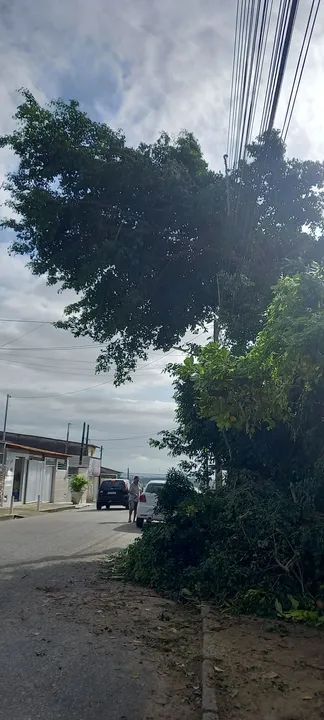 Poda de árvores limpeza de terreno - Foto 5