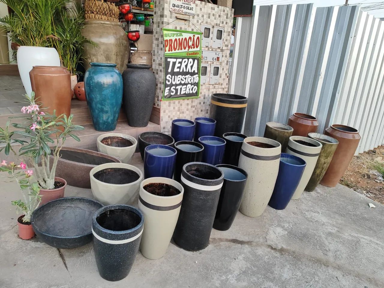 Vasos vários modelos 
