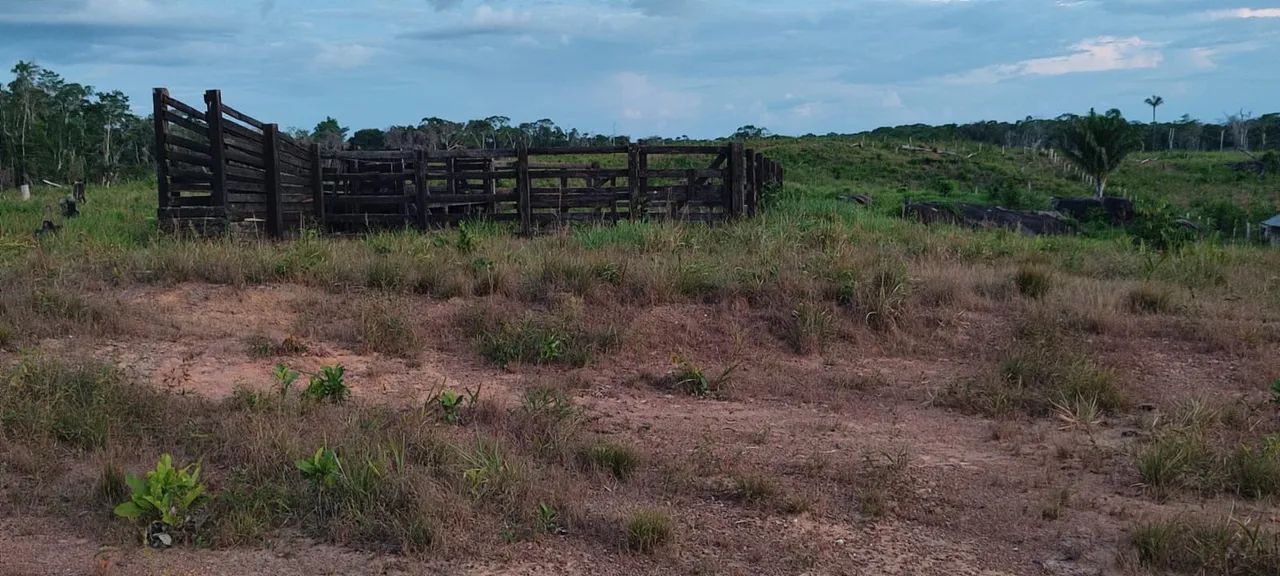 foto - Boa Vista - Liberdade