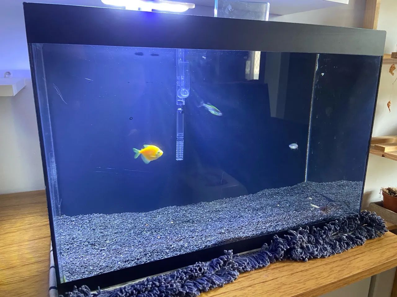 Aquário 28 Litros Completo