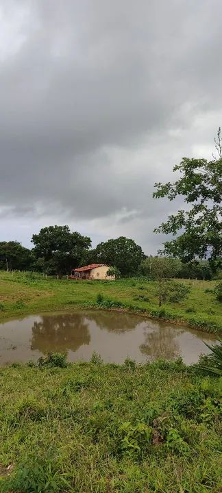 Chácara em Cezarina 