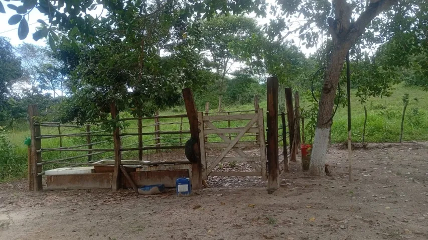 Vendo Sítio de 30 Tarefas(130.680m2),localizado em Miranga, um distrito rural do municípi