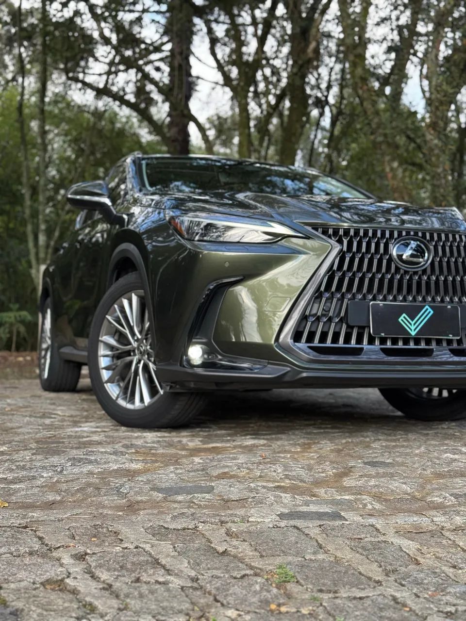 Lexus NX-350h Luxury 2.5 16V Aut. (hybrid), foto 19 de 20