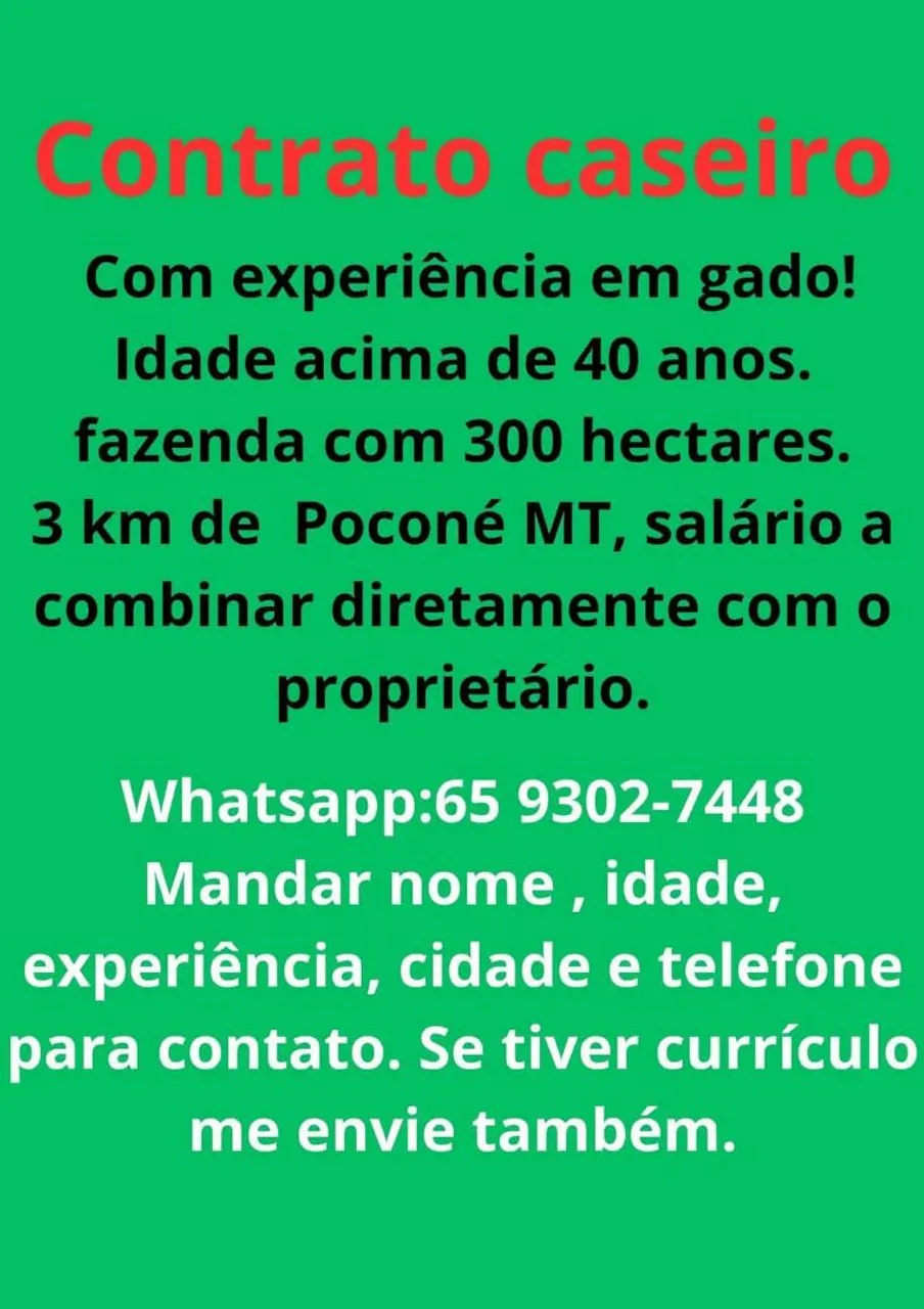 Caseiro com experiência 