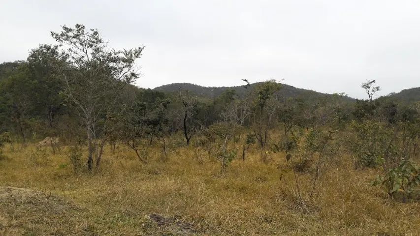 Chácara 1530m², Córrego Rio Dourados, Energia, Plana, 25km Term.Garavelo, Aragoiânia. - Foto 3