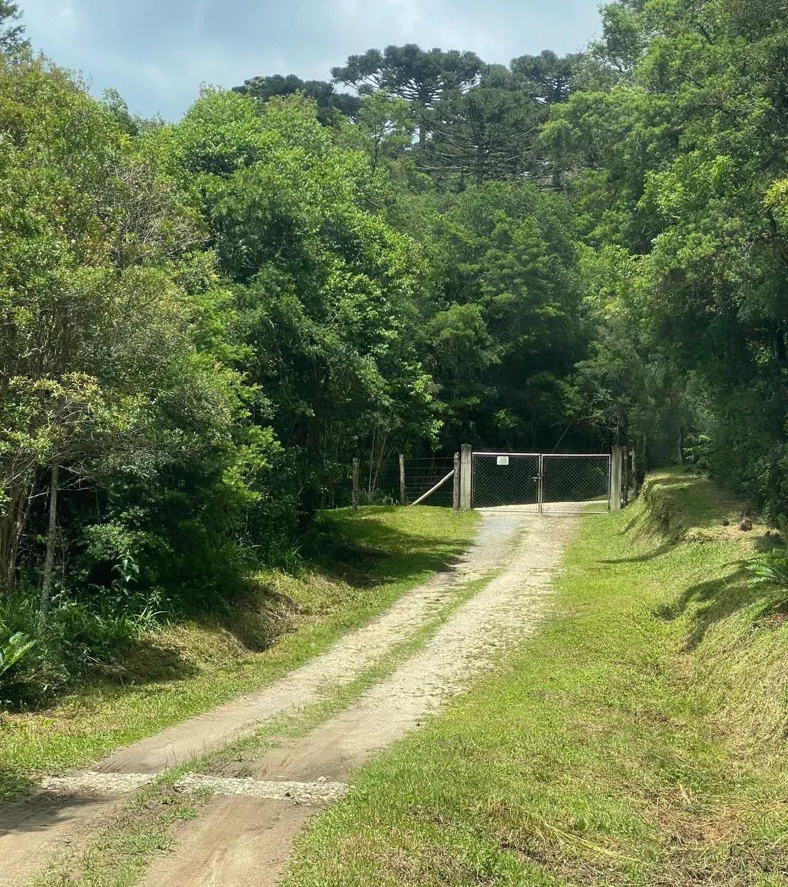 Fazenda/Sítio/Chácara para venda possui 20300 metros quadrados com 6 quartos - Foto 9