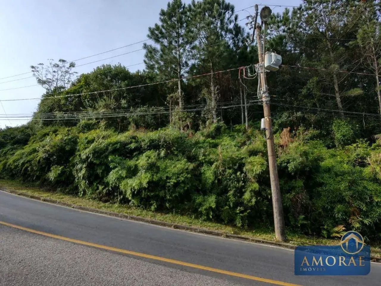 Terreno à venda, 1910 m² por R$ 1.890.000,00 - João Paulo - Florianópolis/SC - Foto 3