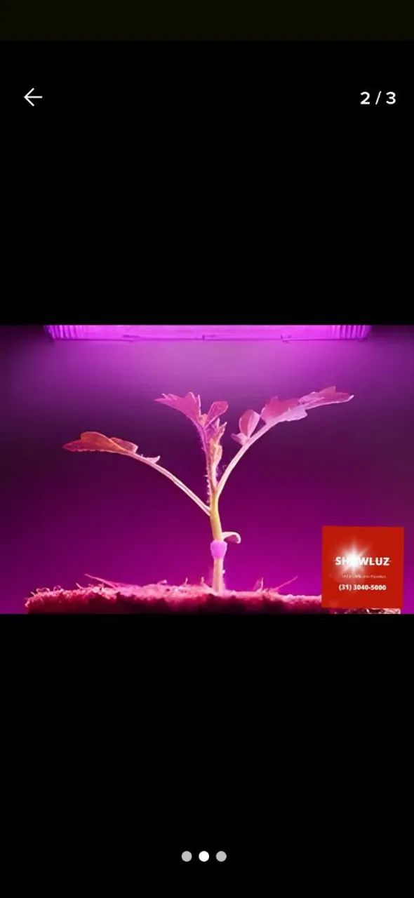 Luz para plantas refletor led grow 