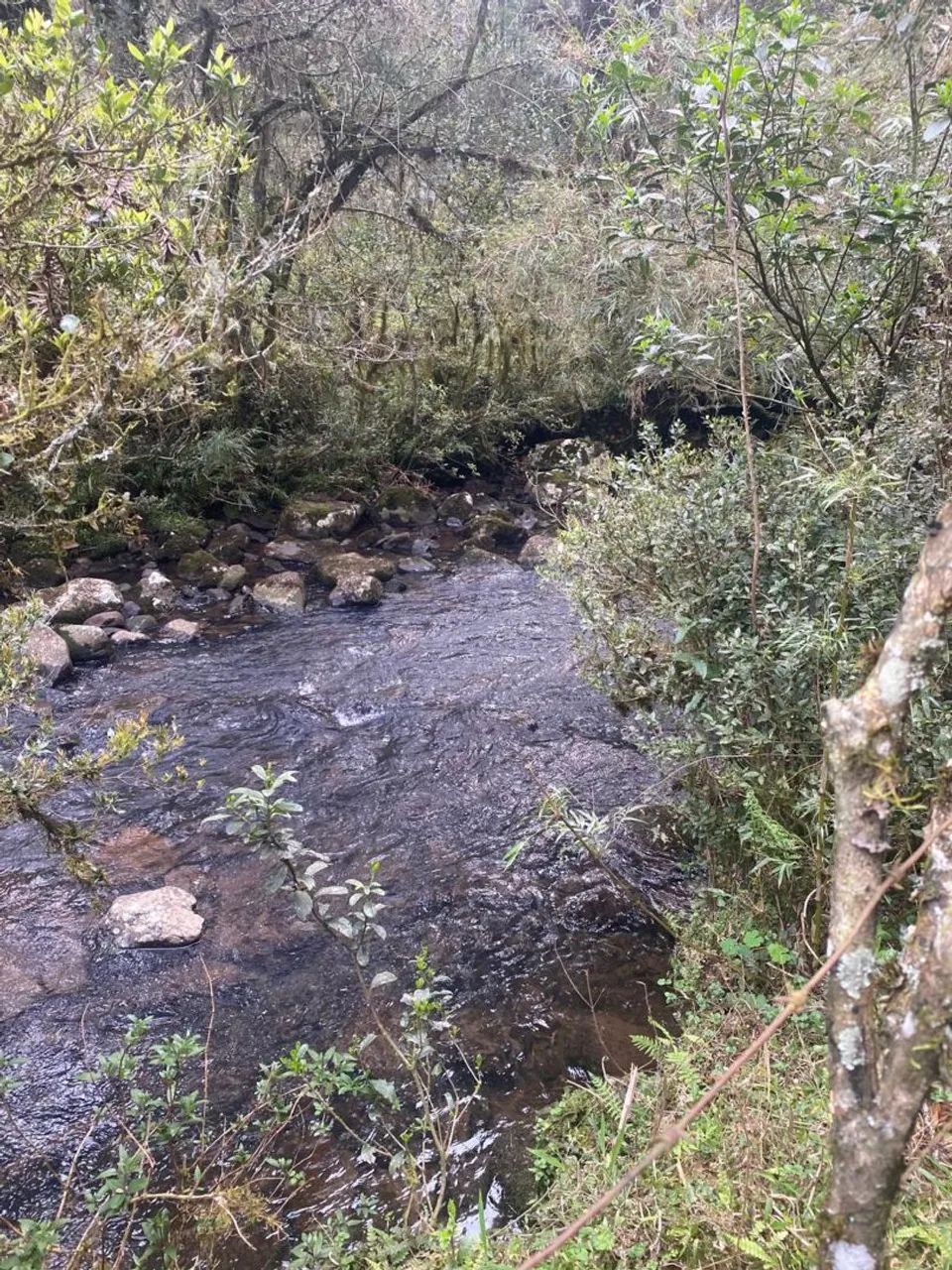 Sítio 2 hectares ( urupema SC) - Foto 4