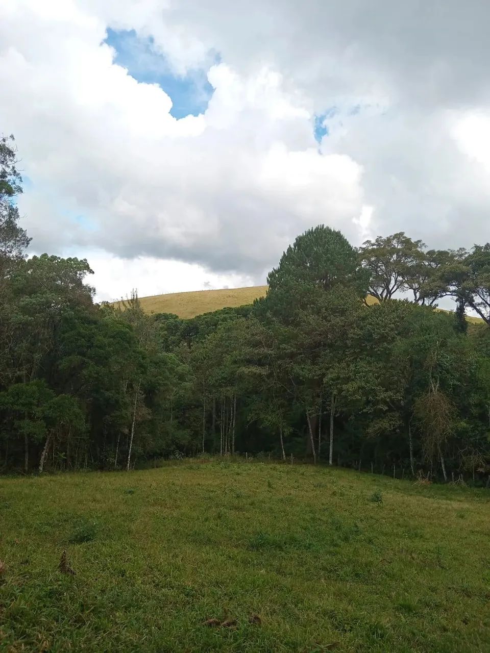 Imóvel para venda tem 91600 metros quadrados em Zona Rural - Camanducaia - MG - Foto 3
