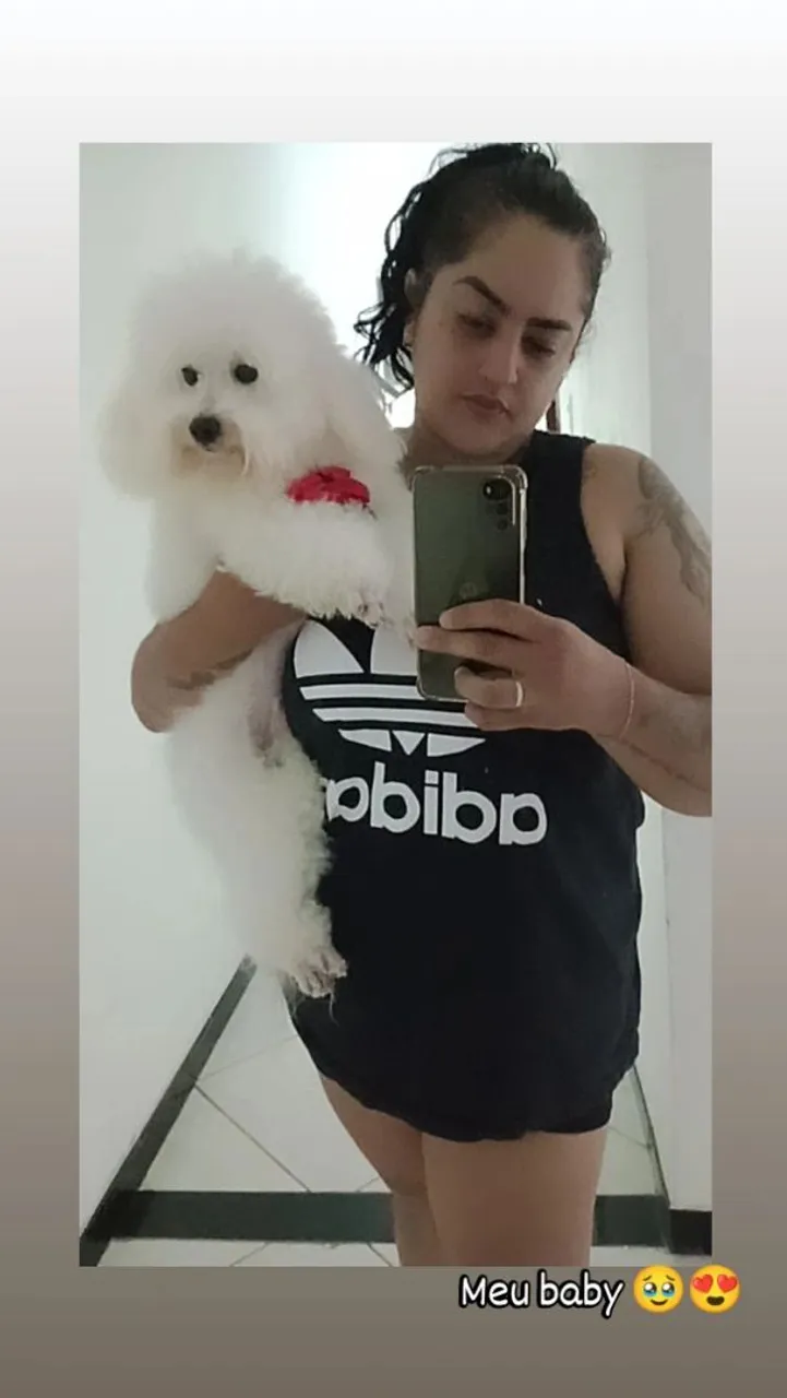 PROCURO FÊMEA PRA NAMORAR