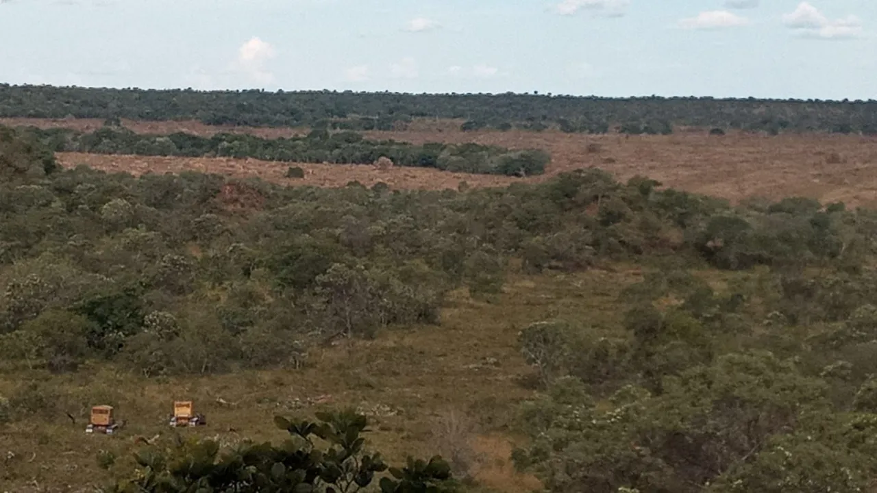 Vendo Terra
