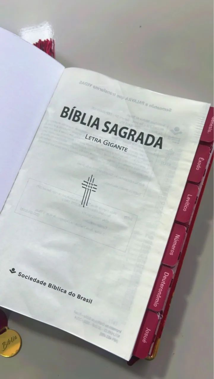 Bíblia Sagrada especial dia das mães  - Foto 3