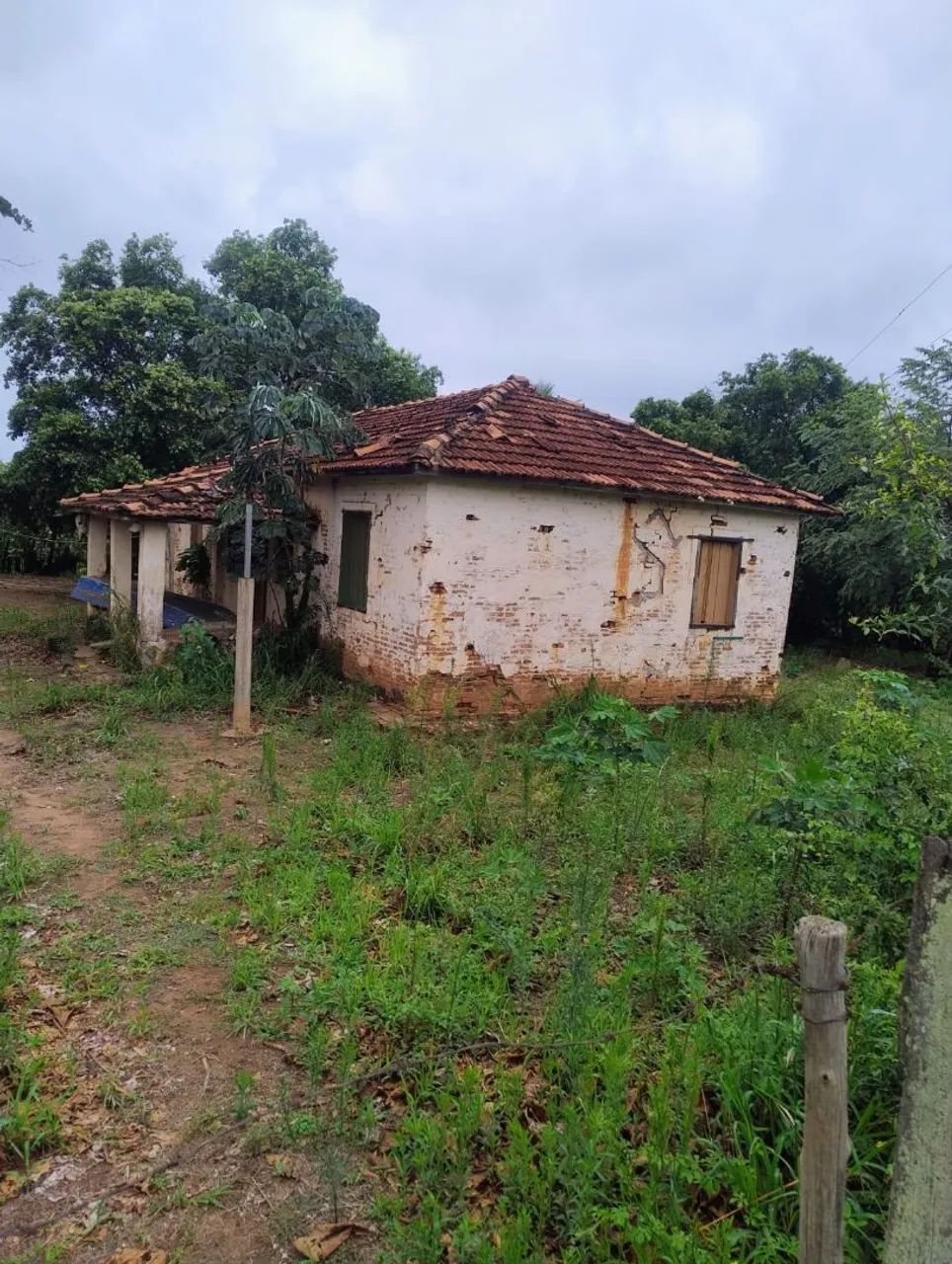 Vende ,um  barracão, uma casa e um tronco para pecuária . Oportunidade .  - Foto 6