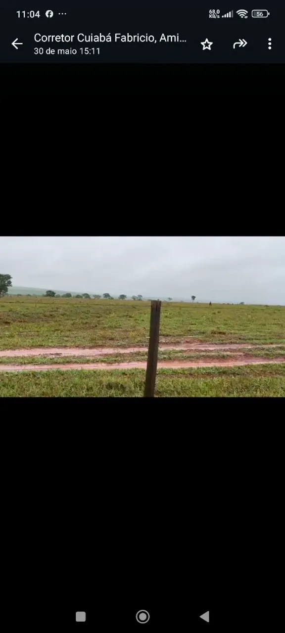 Fazenda arrendamento 1.500hec entre camapuã e paraíso das águas MS. Grade, a combinar