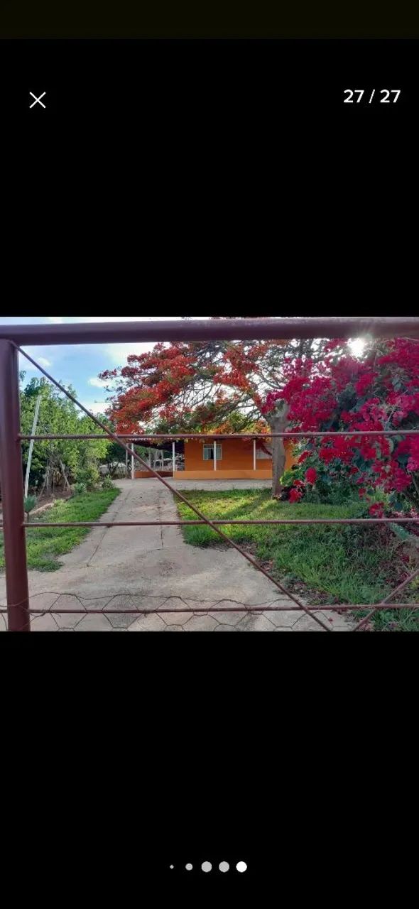 Foto - São João do Paraíso - 
