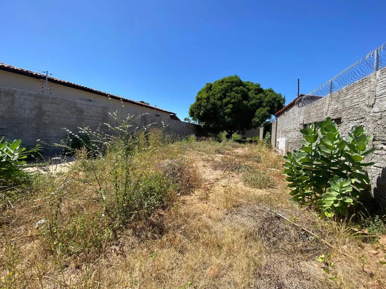Terreno - Aluguel - Foto 5