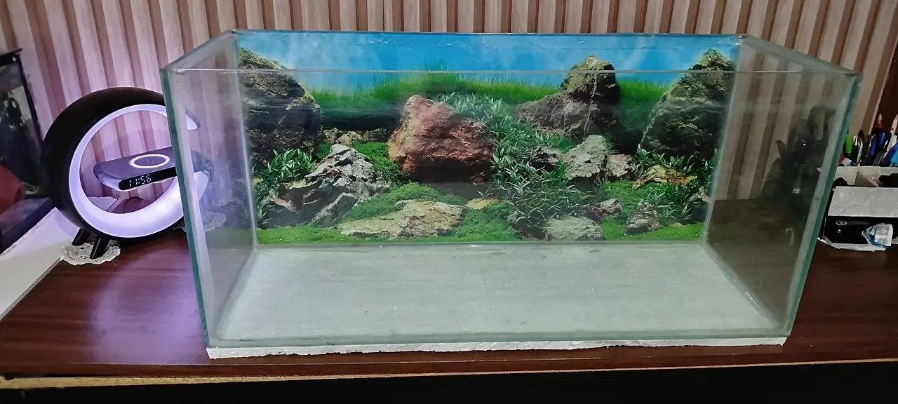 Aquário completo
