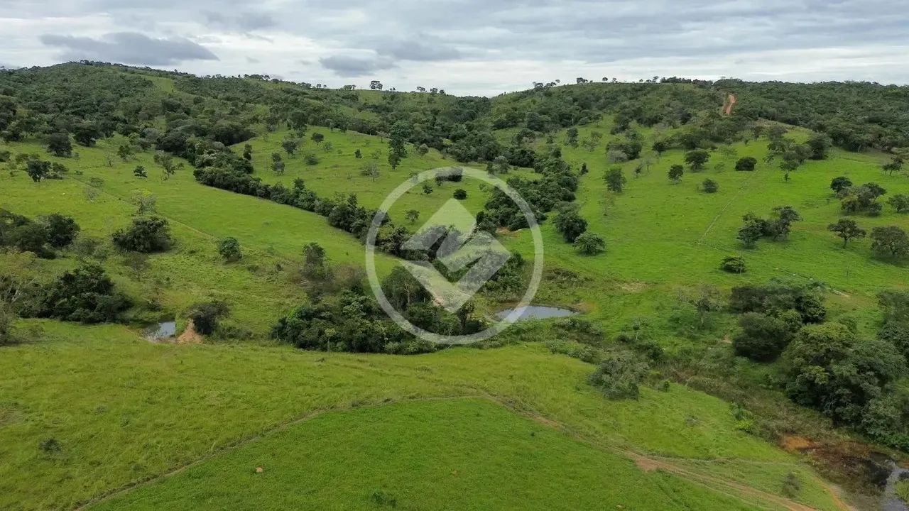 Caldazinha - Fazenda com 40 Alqueires codigo: 118399 - Foto 2