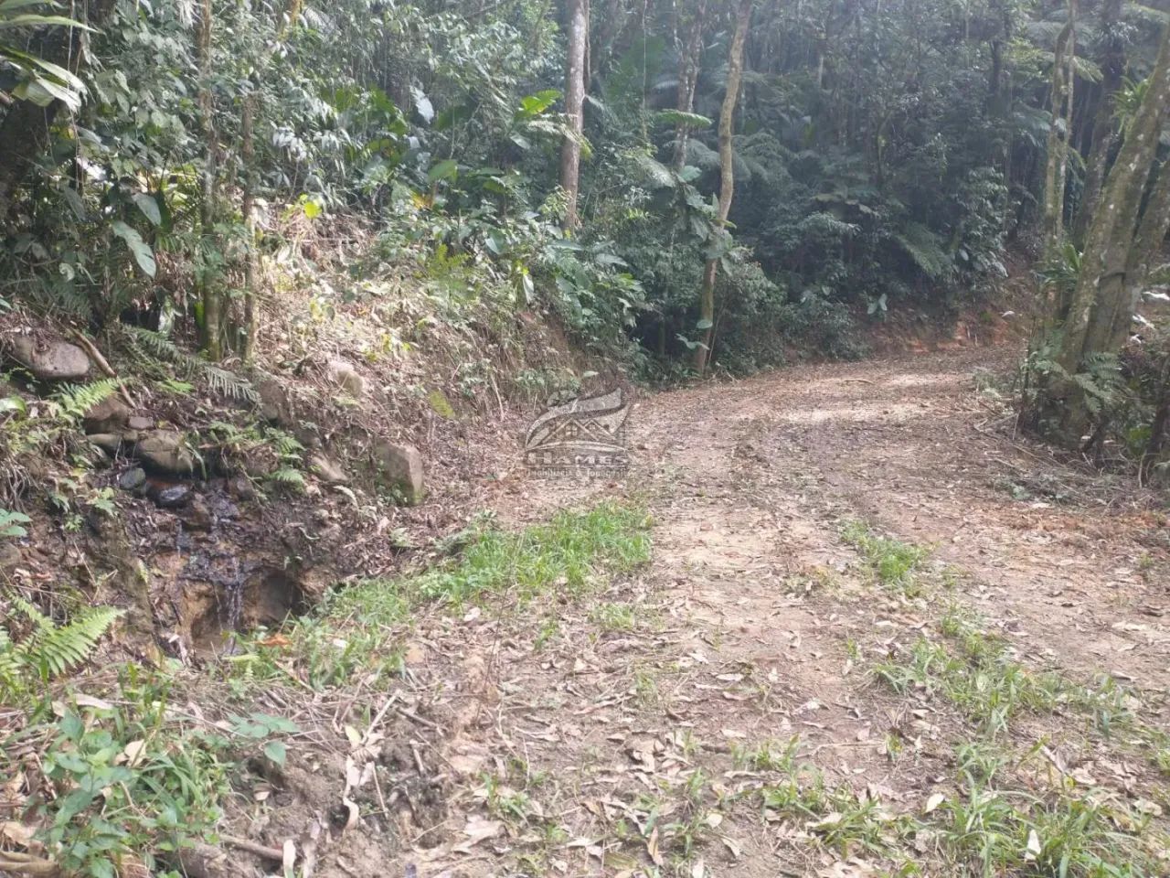 Terreno Rural para Venda em Angelina, LINHA DO CHAVES - Foto 3