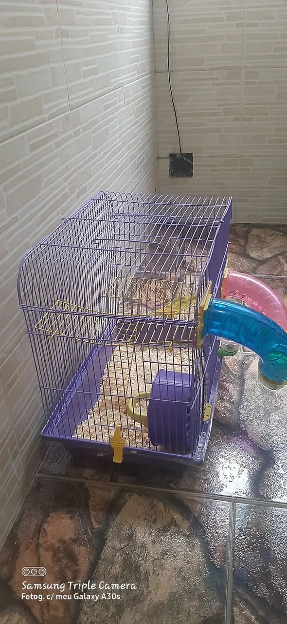 Gaiola para Hamster com Acessórios - Foto 2