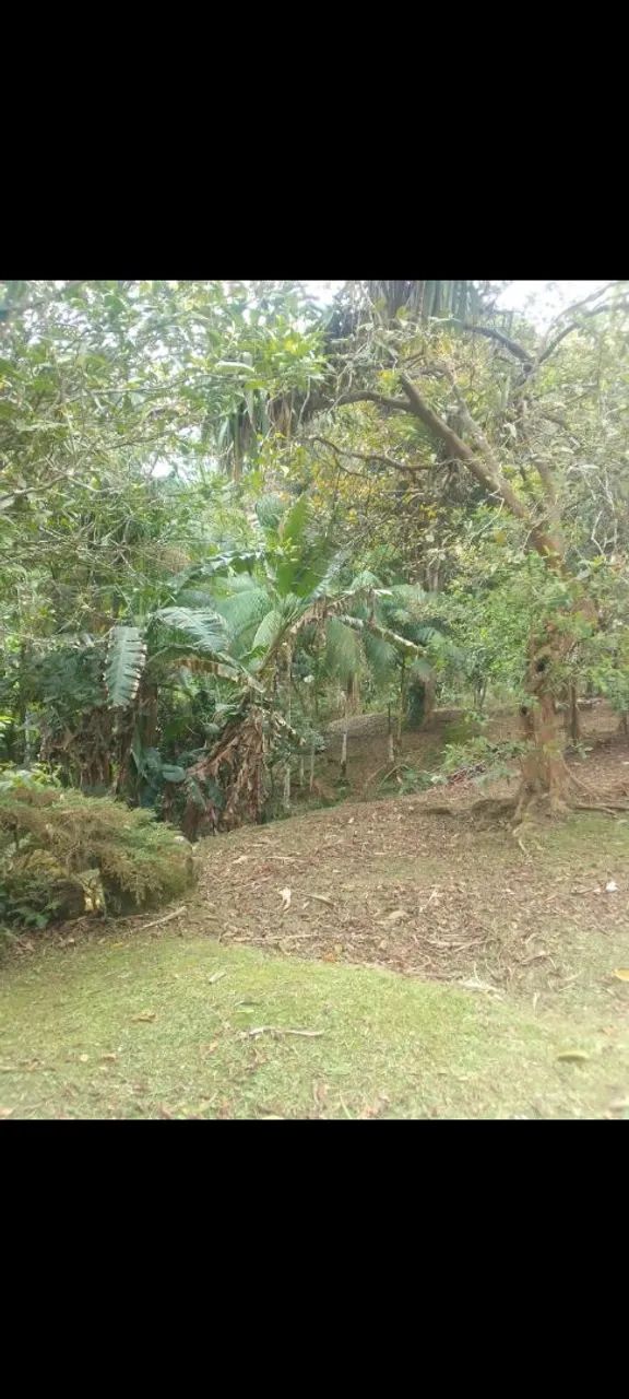 Vendendo uma chácara  - Foto 4