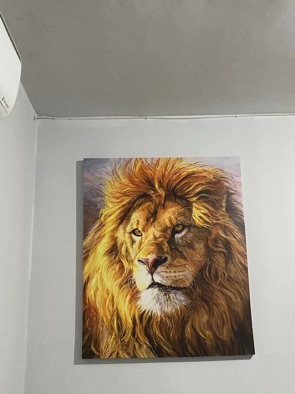 Quadro Leão  - Foto 3