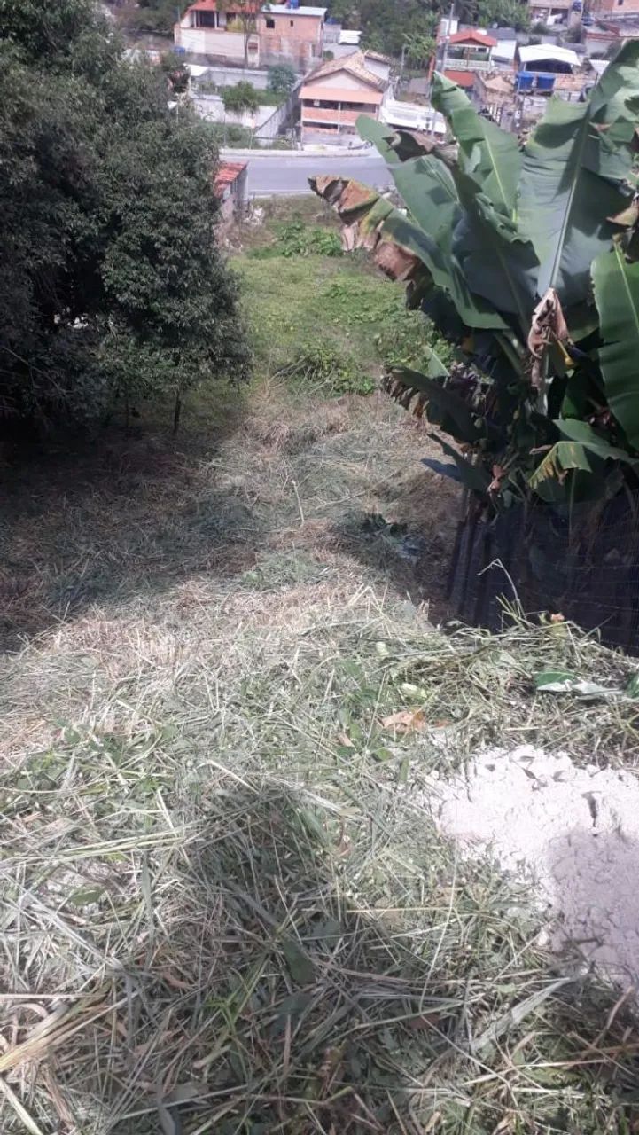 Lote do Dom Carmelo - Foto 2