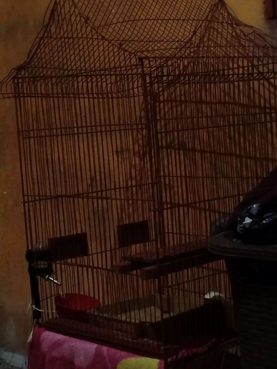 Gaiola