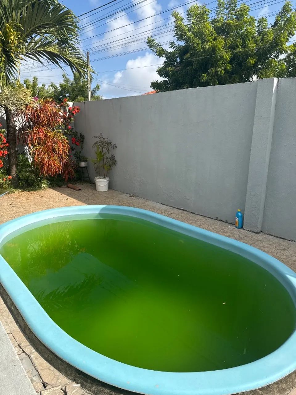 Piscina  - Foto 2