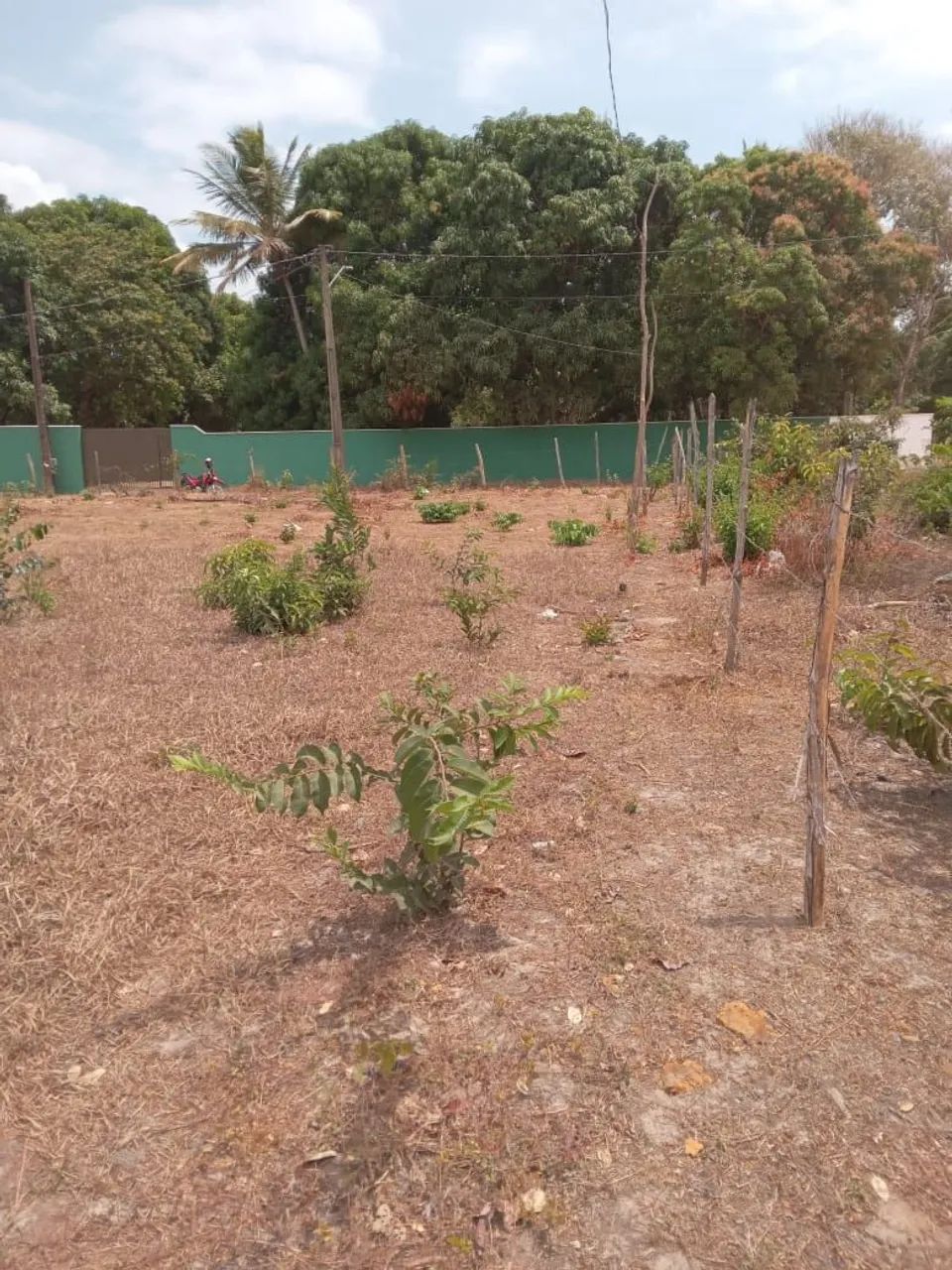 Lotes Quinta da Mata - Foto 4
