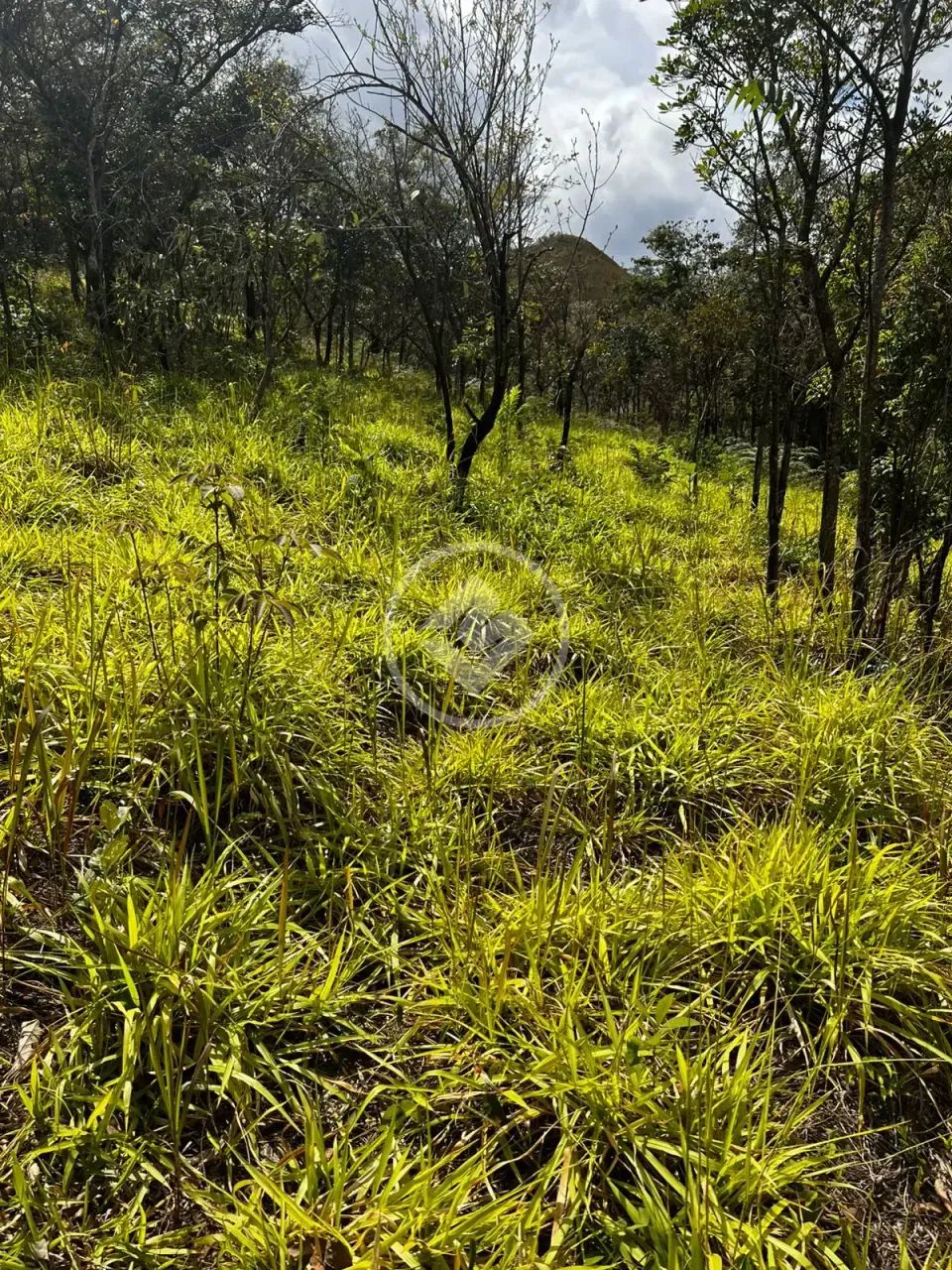 Terreno à venda codigo: 141831 - Foto 3